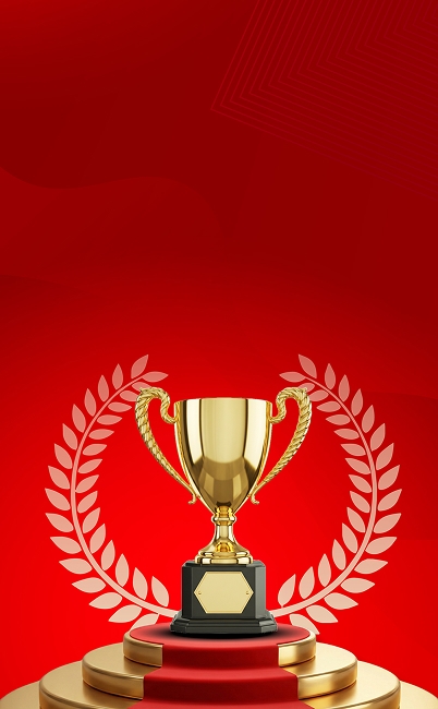 NAVIS HR achievements and client testimonials