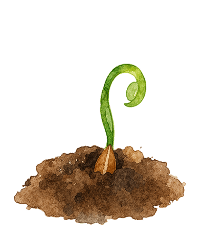 Sapling