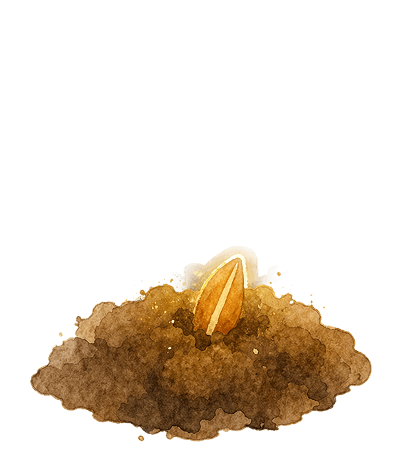 Seed