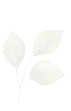 leaf1