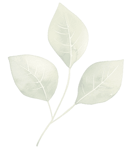 leafHalf
