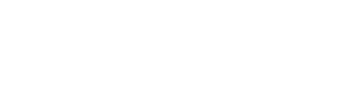 NAVIS HR Logo