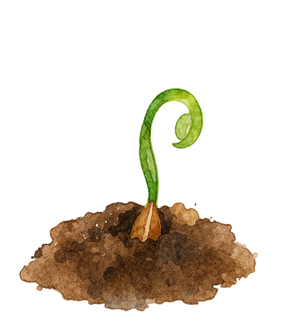 Sapling