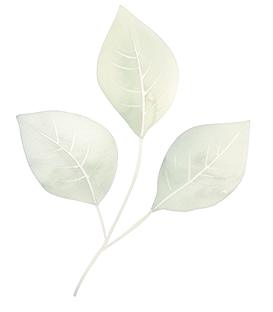 leafHalf