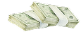 Money icon