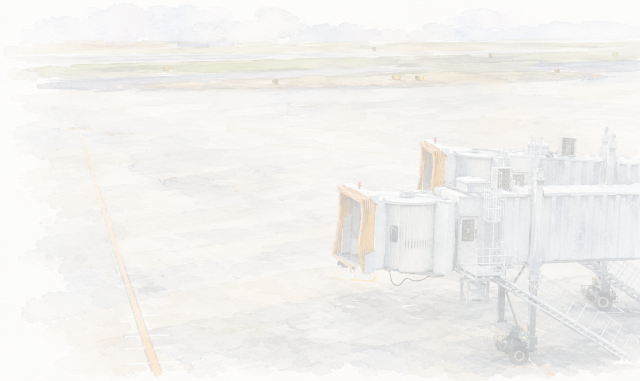 Decorative Baggage Carrier Background